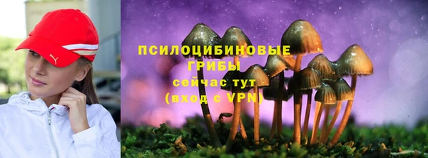 spice Беломорск