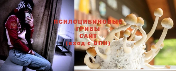 синтетический гашиш Белокуриха